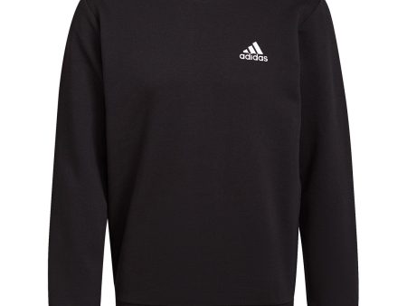 Sudadera adidas Feelcoz Hombre Sin capucha